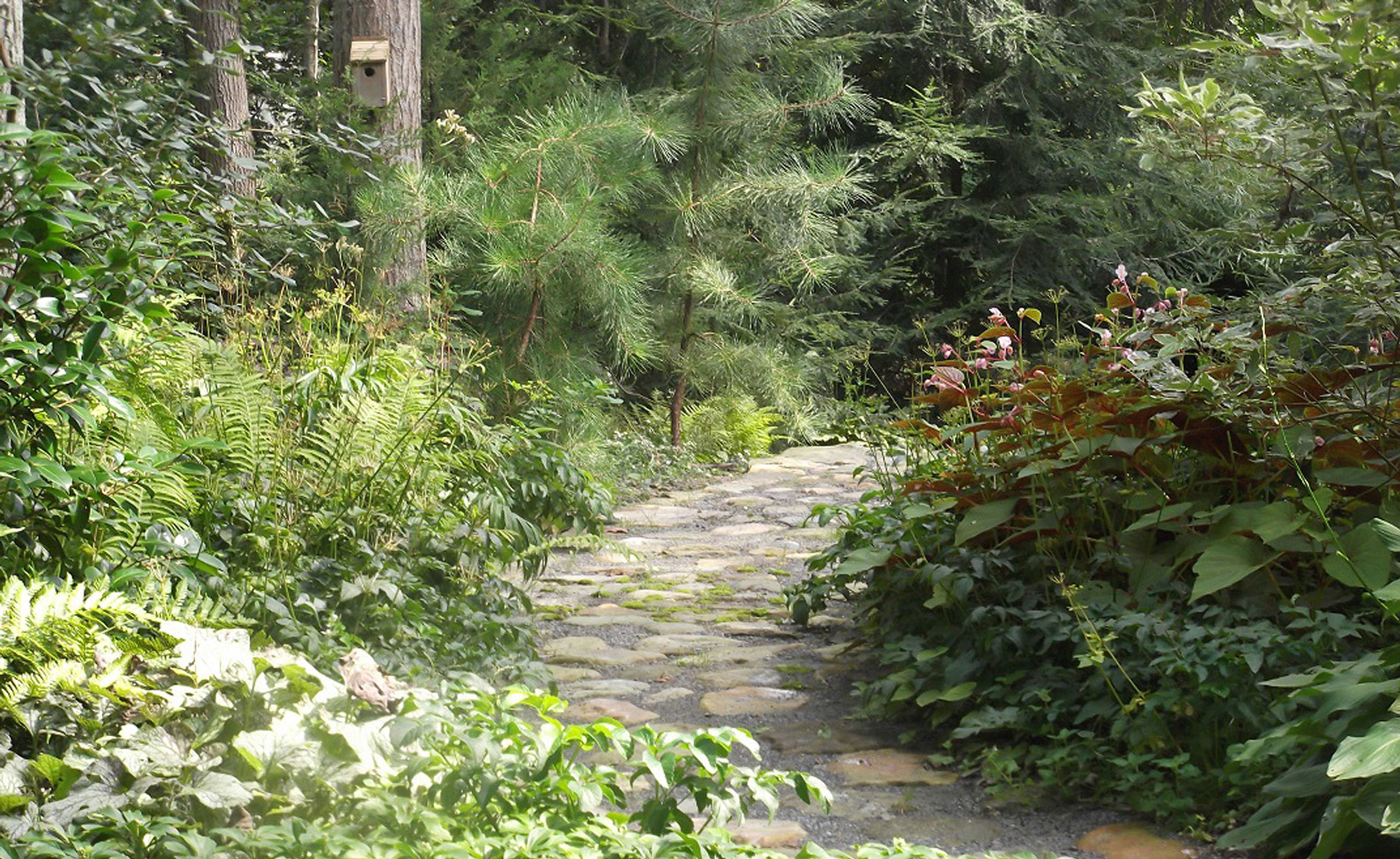 The Hamptons Lawn Care